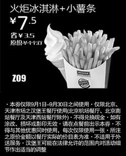 黑白优惠券图片：汉堡王优惠券(北京天津)火炬冰淇淋+小薯条2012年9月优惠价7.5元 - www.5ikfc.com