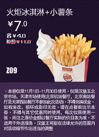 北京天津汉堡王优惠券：火炬冰淇淋+小薯条2012年11月凭券优惠价7元 有效期至：2012年11月30日 www.5ikfc.com